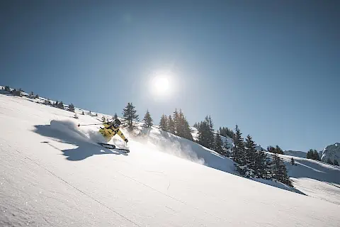 freeride_14.480x320.jpg