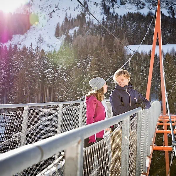 baumzipfelweg-_-golden-gate-bridge-der-alpen_1.600x600.jpg